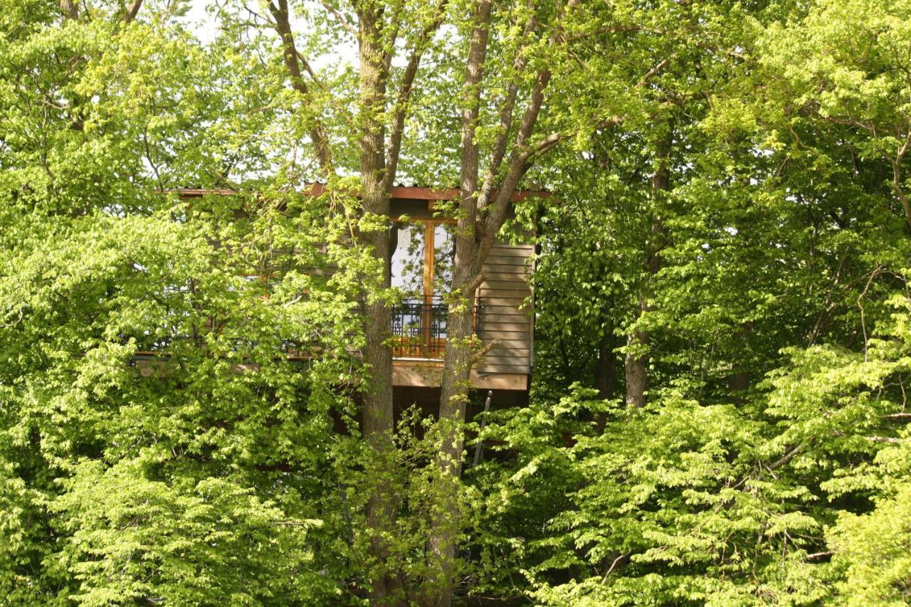 Baumhaus Auf Dem Kellerberg Villa Fischach Eksteriør billede